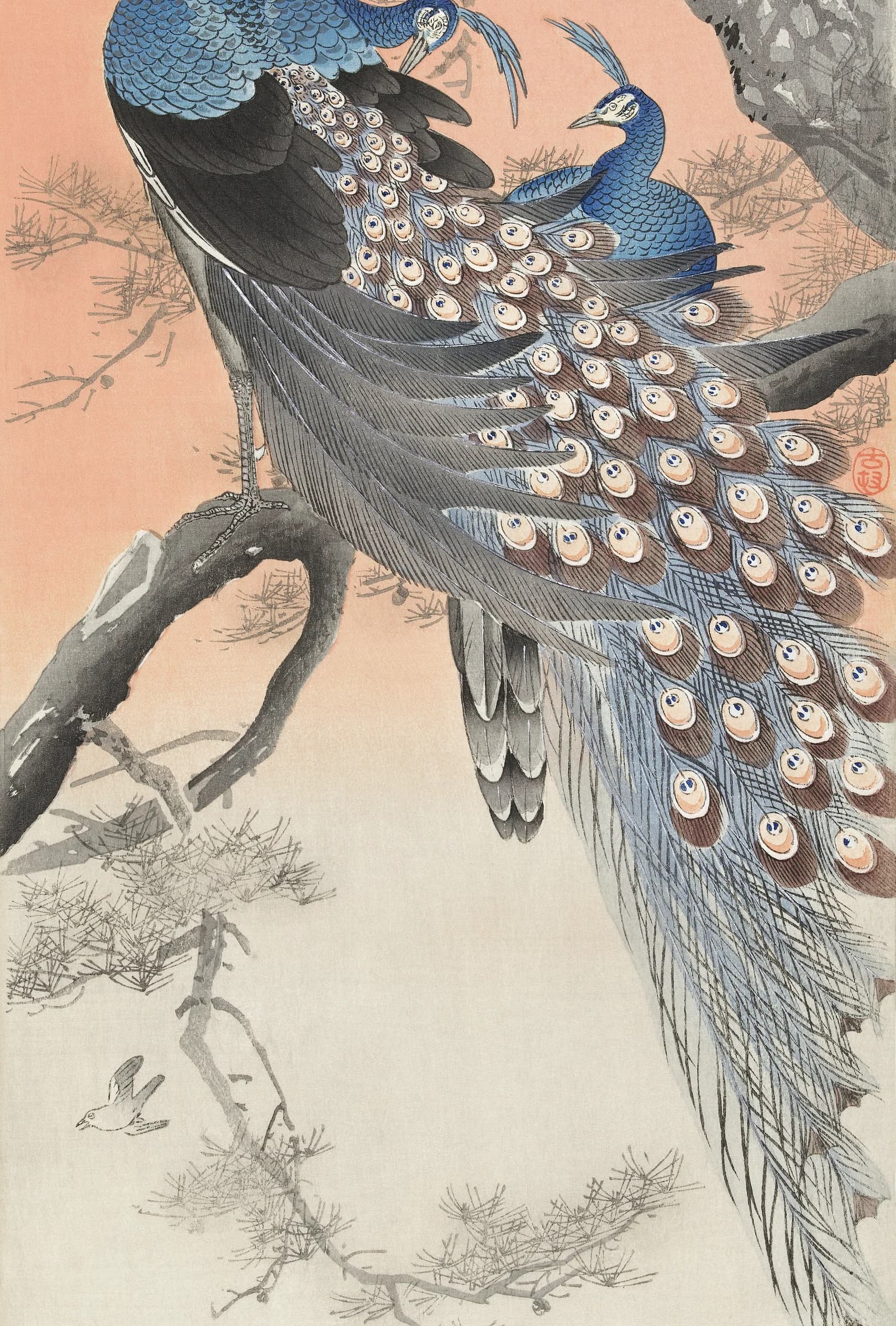Twee pauwen op de boomtak – Ohara Koson