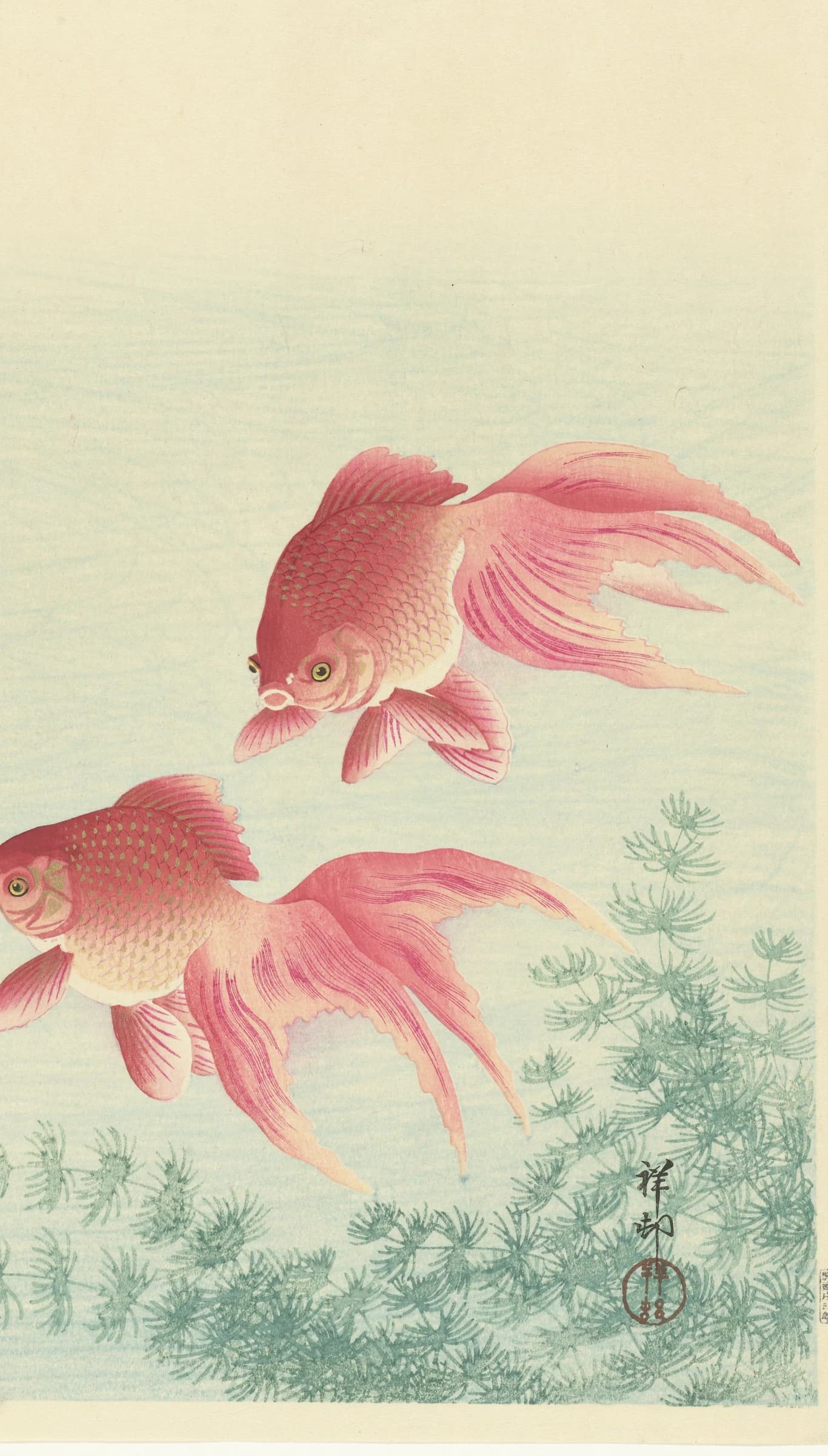 Twee Sluierstaart Goudvissen – Ohara Koson