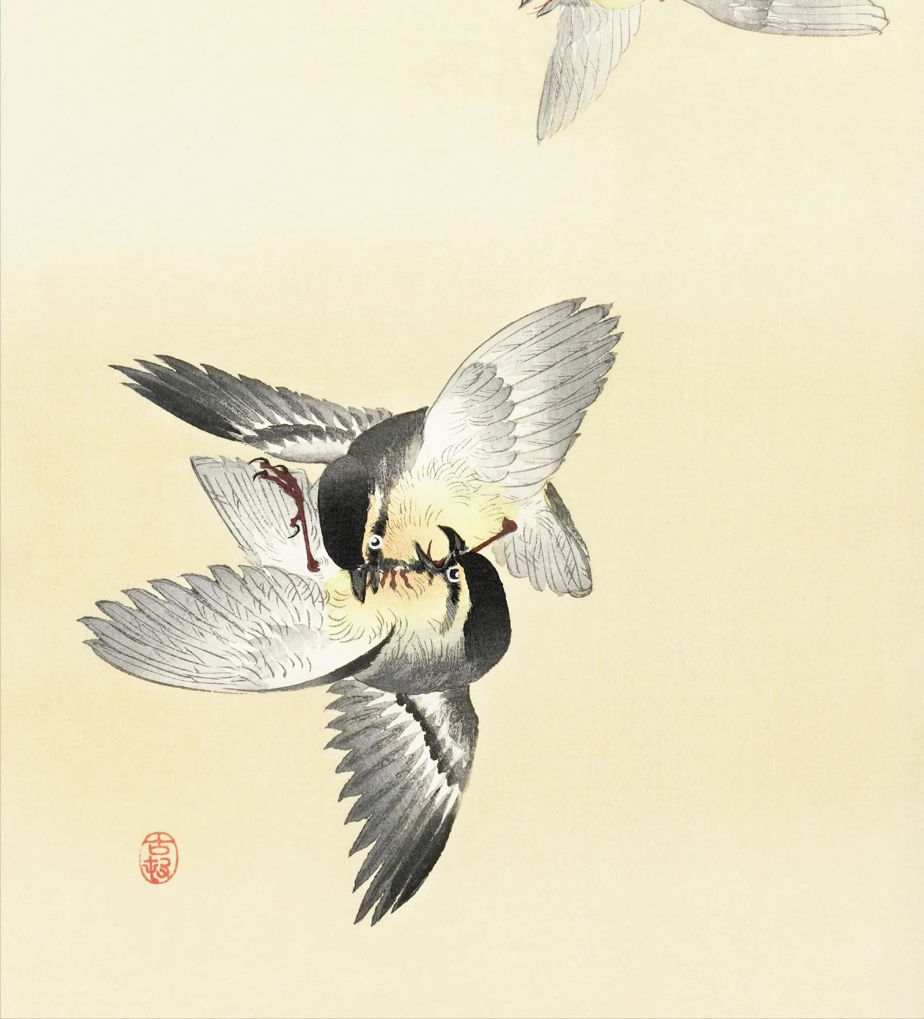 Twee vechtende vogels – Ohara Koson