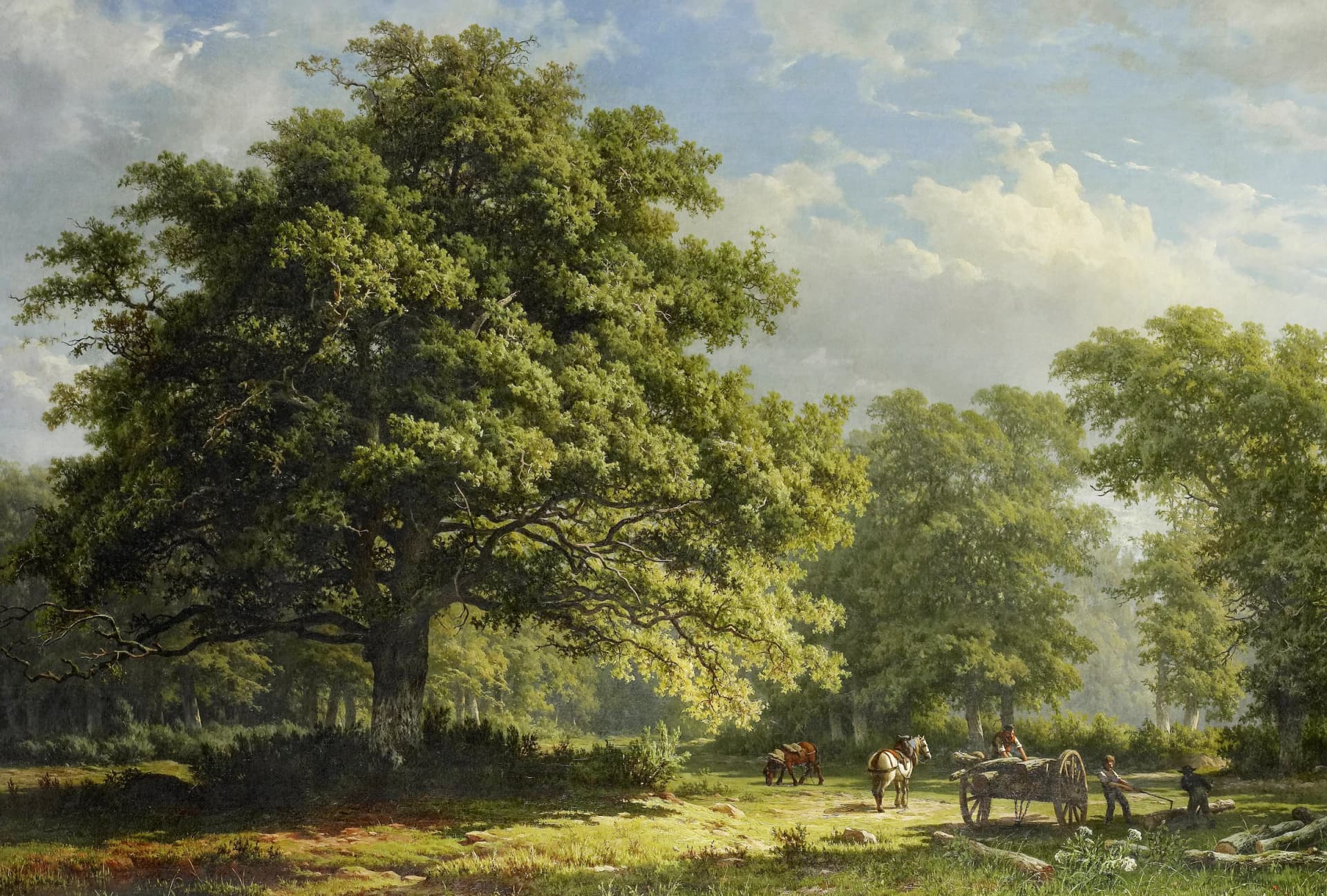 Uitzicht in het Bentheim woud