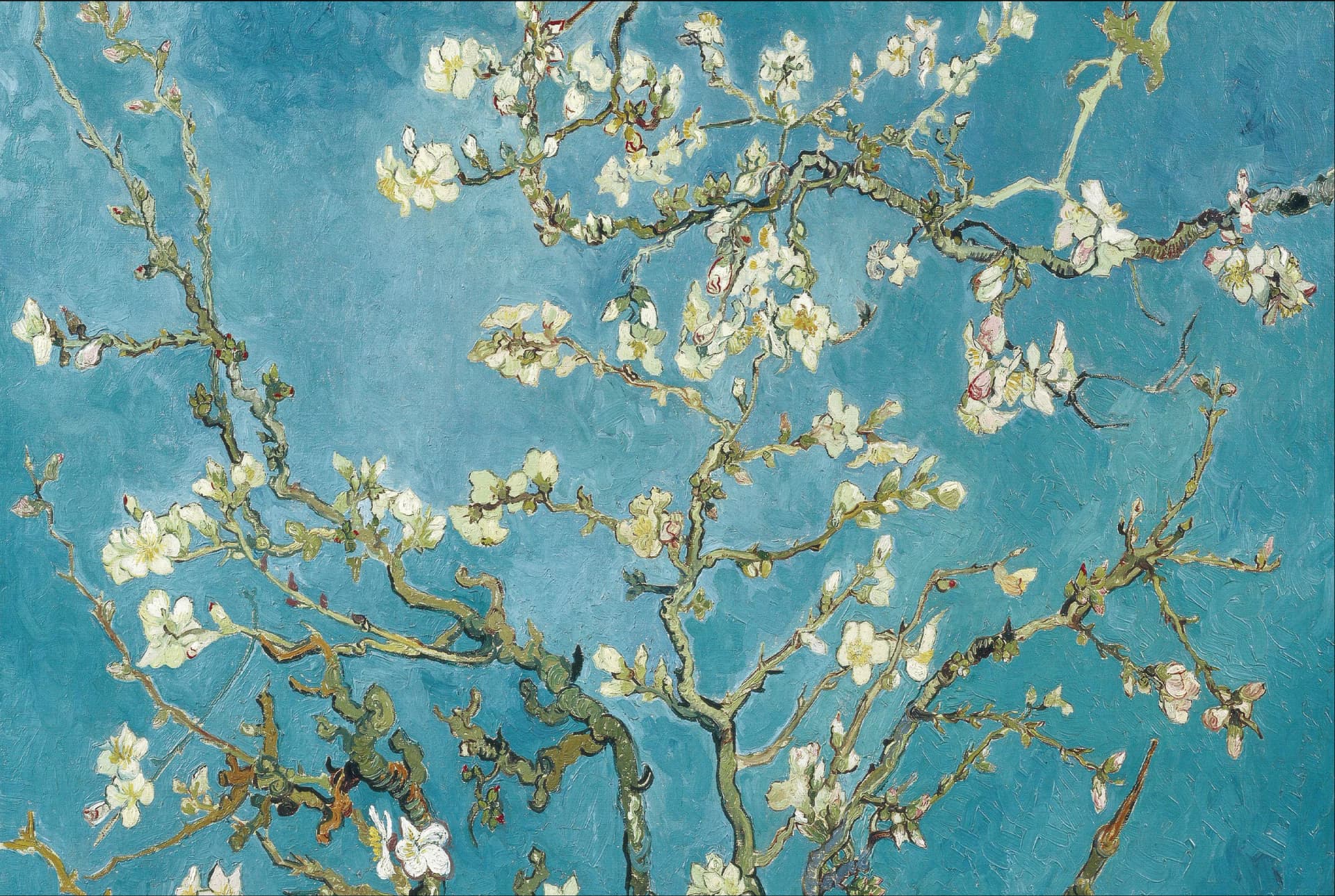 Van Gogh's Amandelbloesem – Vincent van Gogh