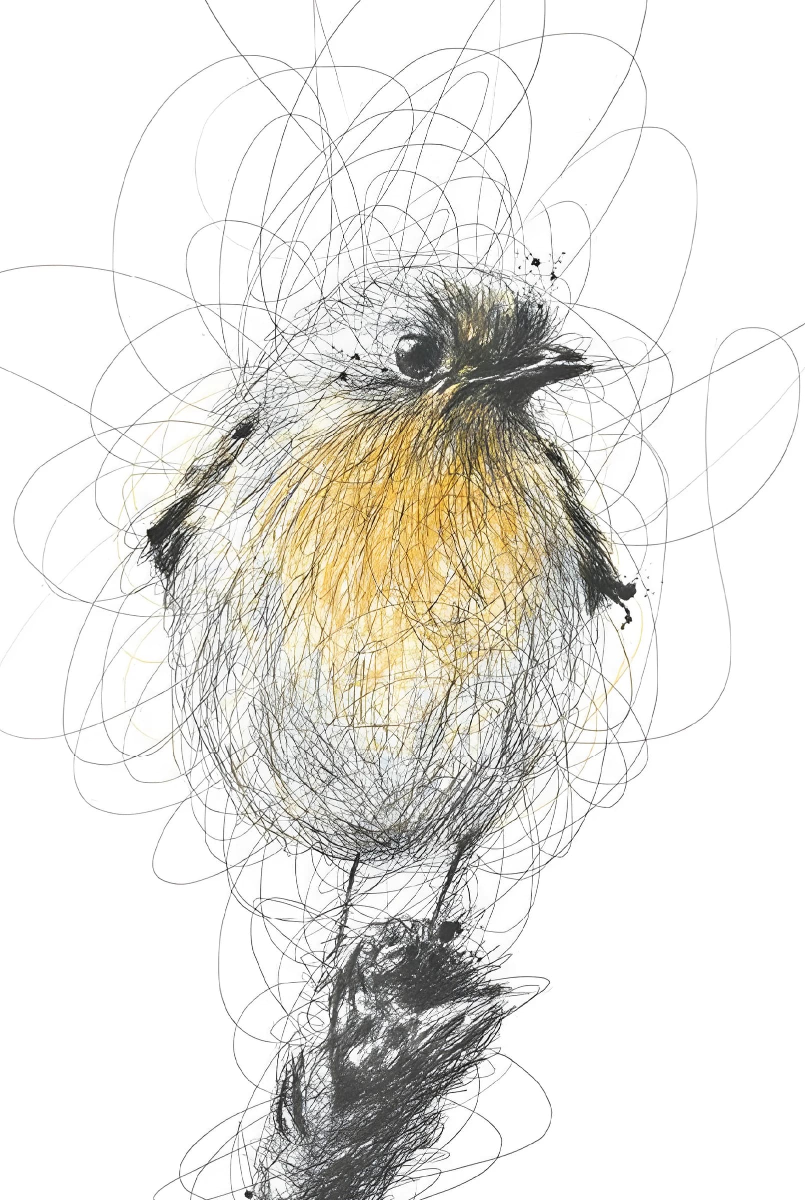 Vogelkriebels