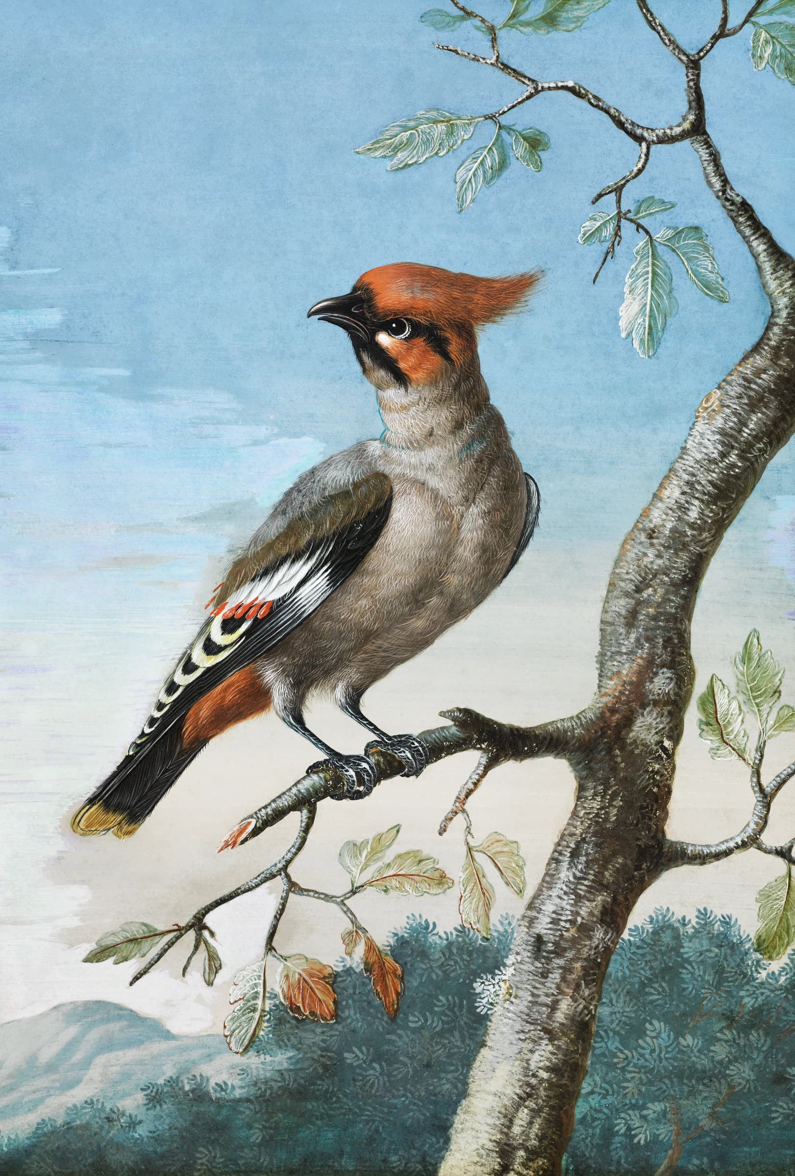 Vogelstudie