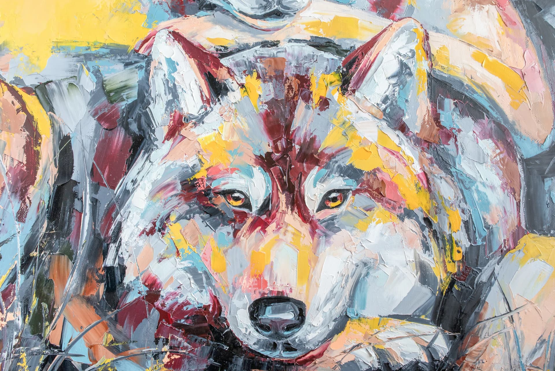 Wolf in Kleuren