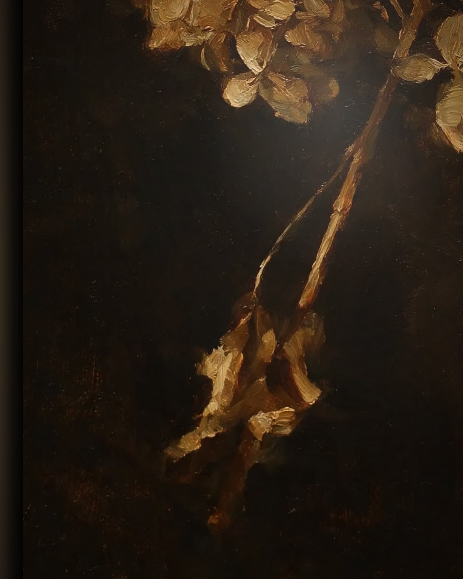 Materiaal en afwerking van Uitgebloeide hortensia in het wisselframe