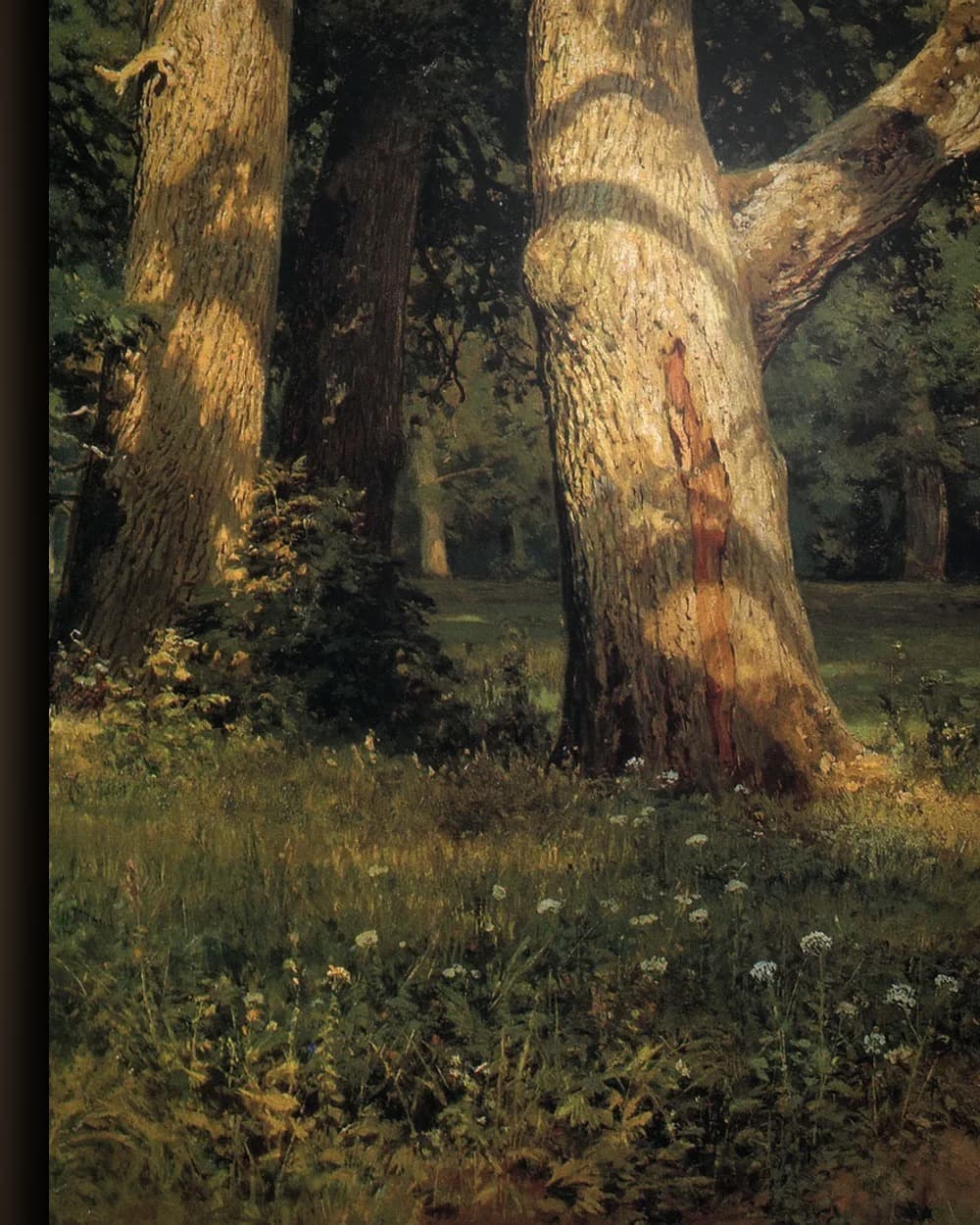 Materiaal en afwerking van Oude eiken in het bos in het wisselframe