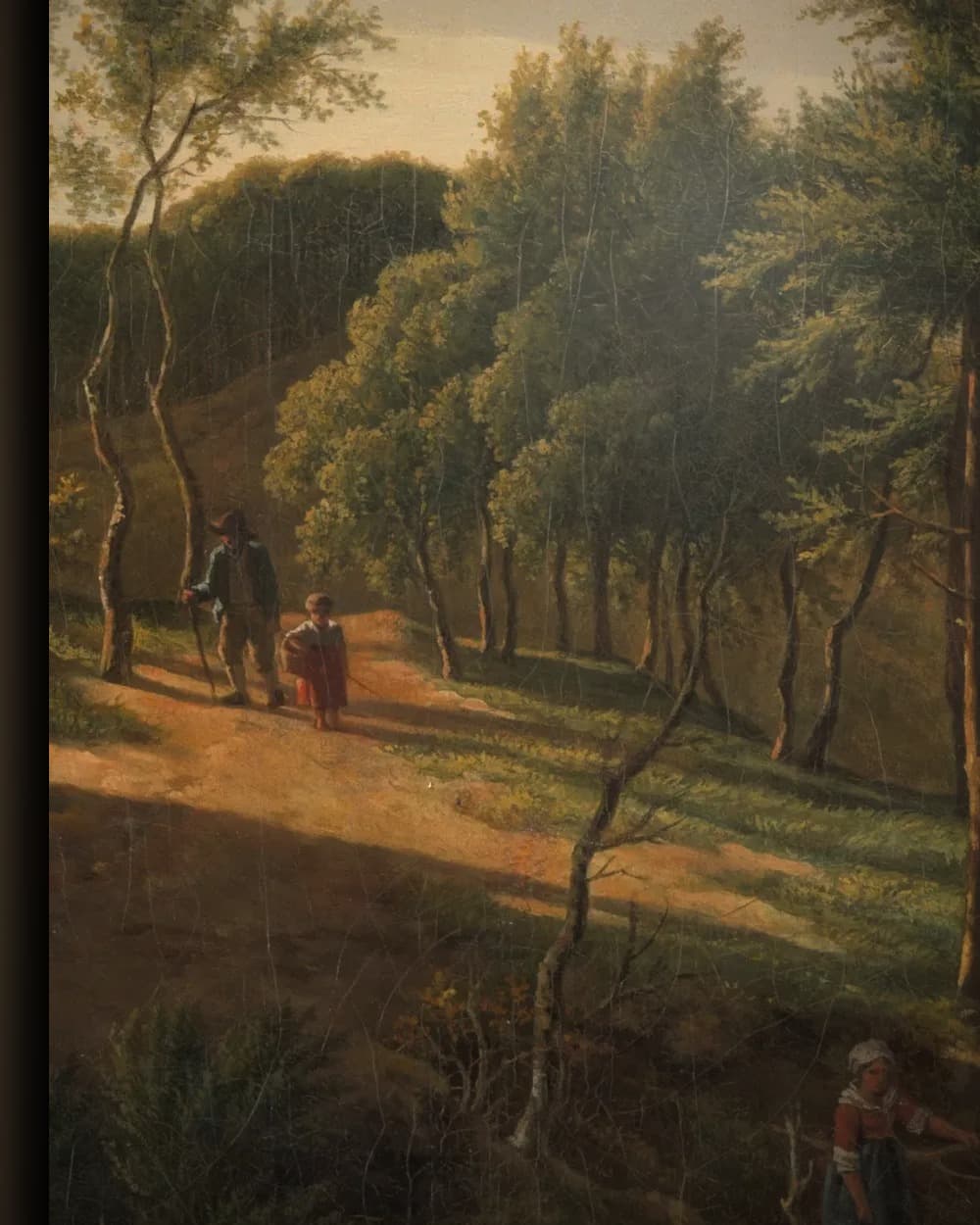 Materiaal en afwerking van Heuvelachtig landschap in het wisselframe