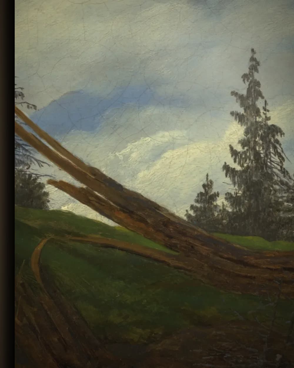 Materiaal en afwerking van Berglandschap met omgevallen boom in het wisselframe