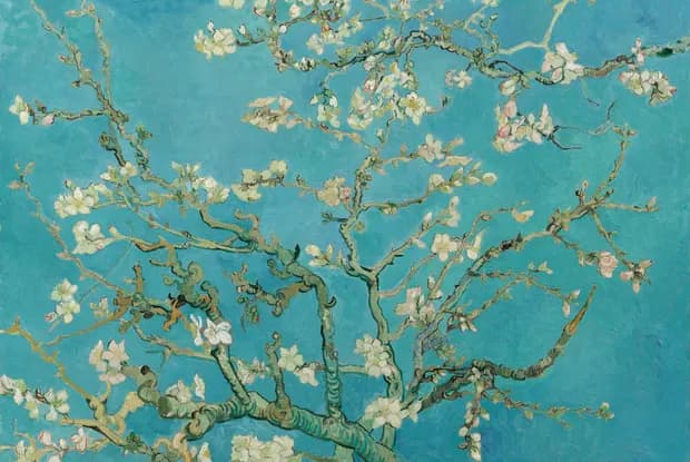 Amandelbloesem · Vincent van Gogh