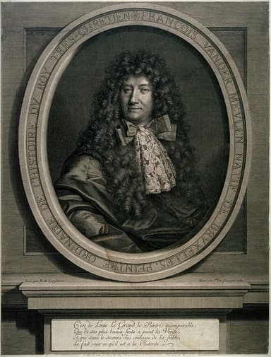 Portret van Adam Frans van der Meulen