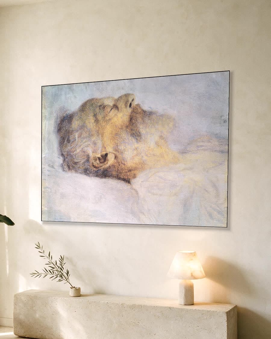 Oude man op het sterfbed in een aluminium frame aan dezelfde muur