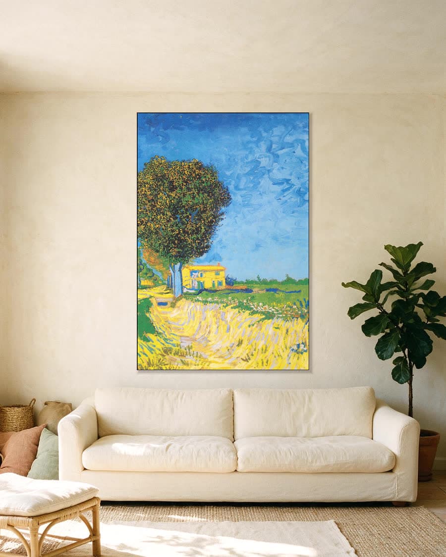 Laan in Arles met huizen in een aluminium frame aan dezelfde muur