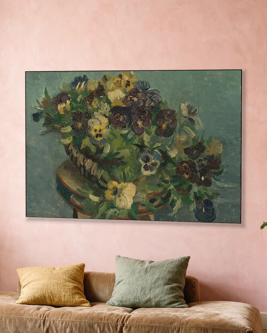 Mand met viooltjes in een aluminium frame aan dezelfde muur