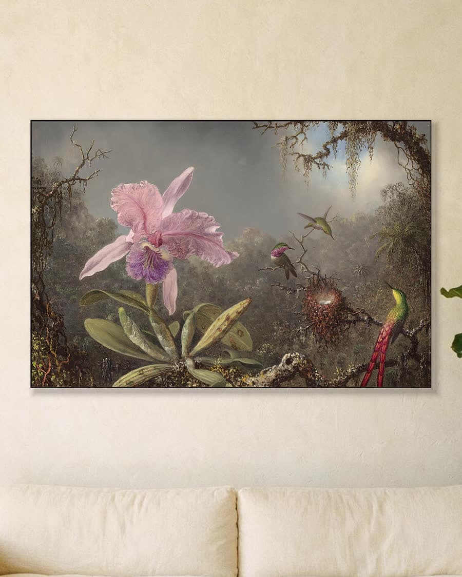 Cattleya-orchidee en drie kolibries in een aluminium frame aan dezelfde muur