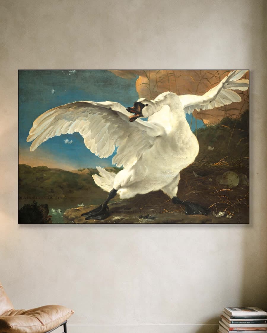 De bedreigde zwaan in een aluminium frame aan dezelfde muur