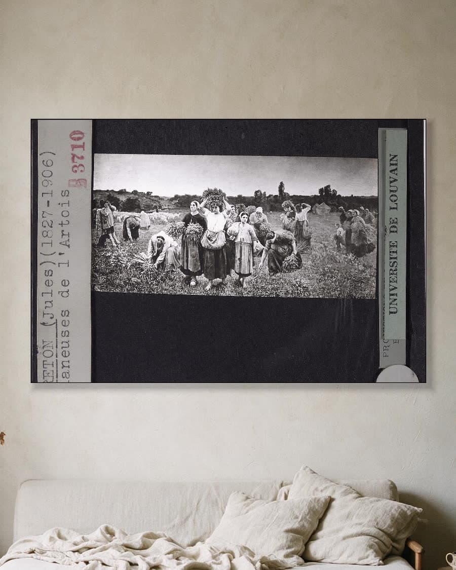 De terugkeer van de arenleesters in een aluminium frame aan dezelfde muur