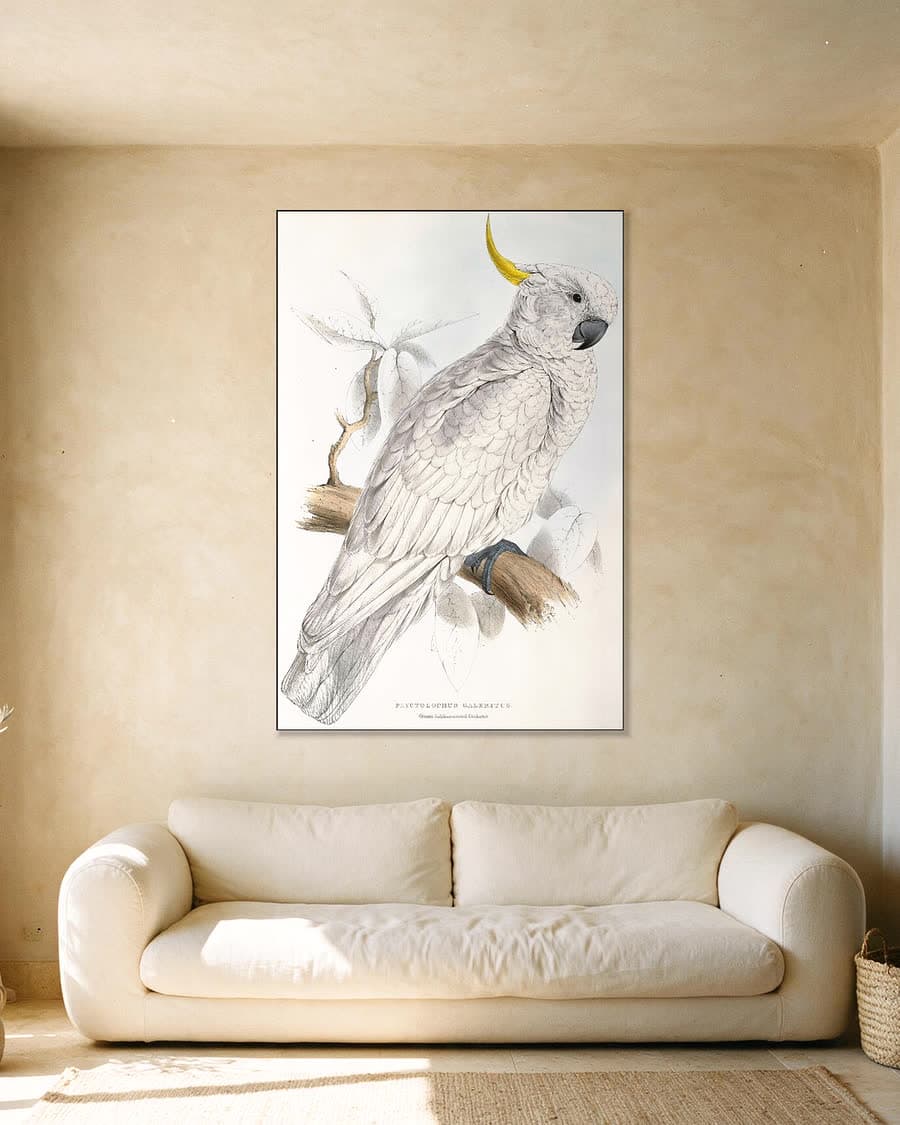 Geelkuifkaketoe in een aluminium frame aan dezelfde muur