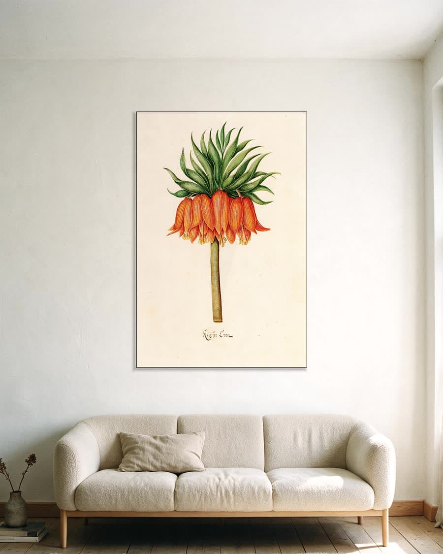 Kaÿser Kron (keizerskroon, florilegium, ca. 1690) in een aluminium frame aan dezelfde muur