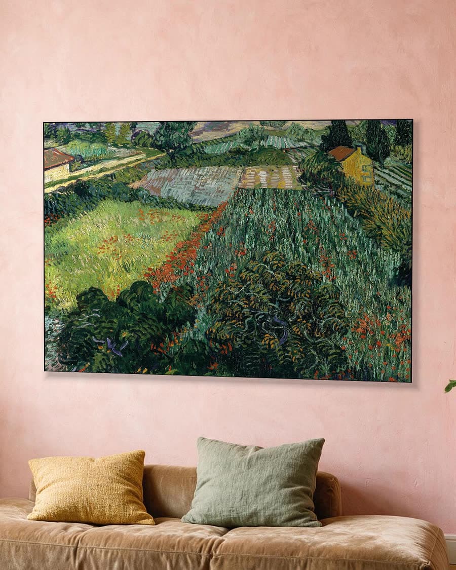 Klaprozenveld in een aluminium frame aan dezelfde muur