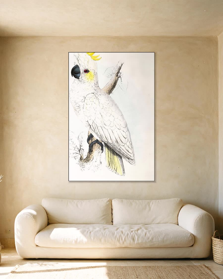 Geelwangkaketoe in een aluminium frame aan dezelfde muur