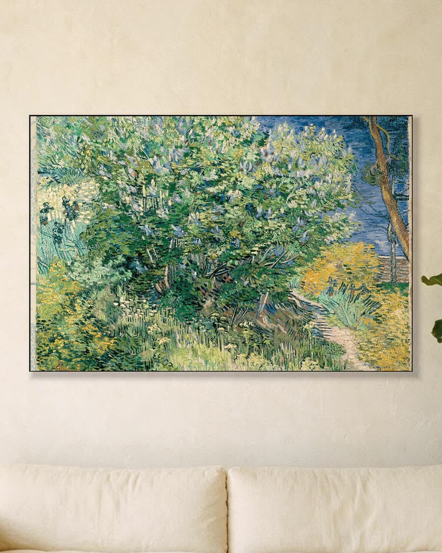 Seringenstruik in een aluminium frame aan dezelfde muur