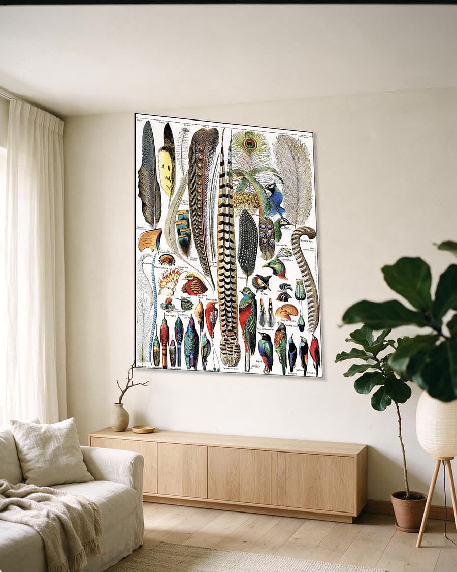 Plumes in een aluminium frame aan dezelfde muur