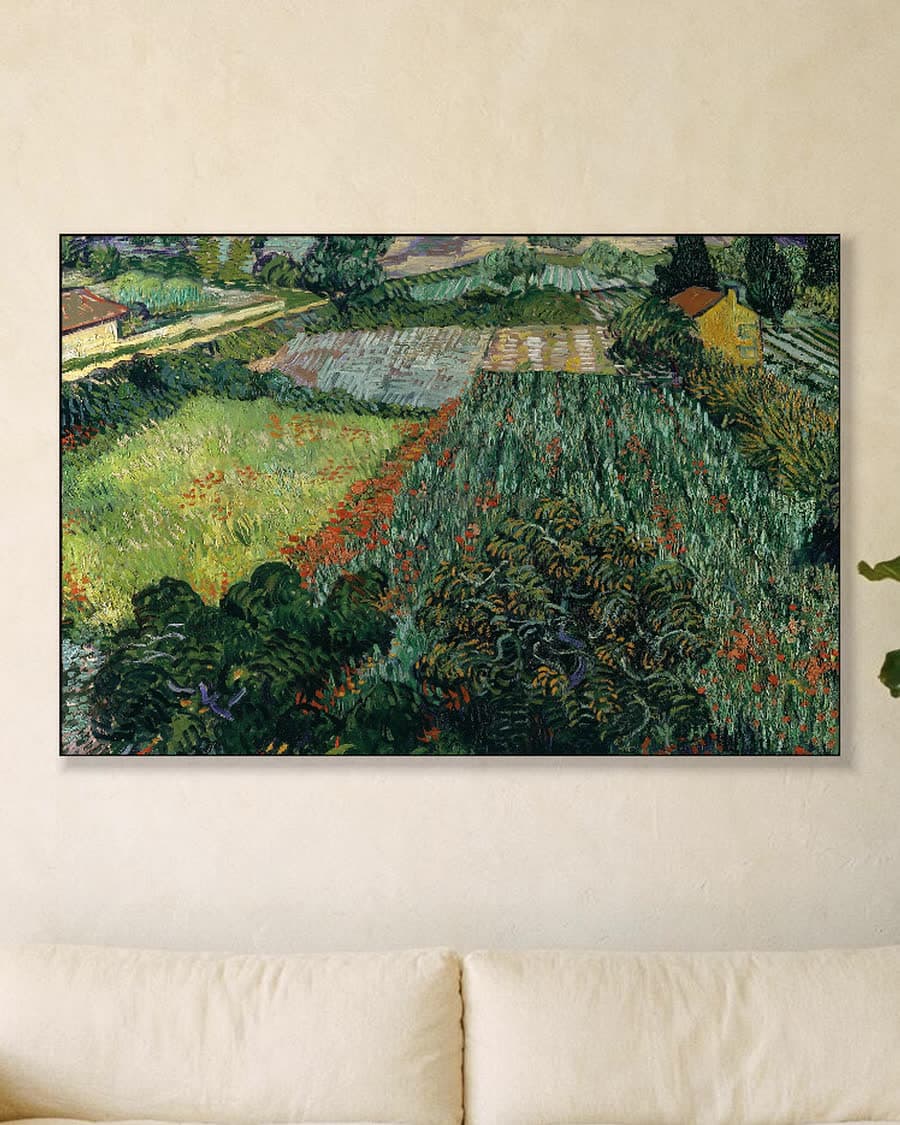 Klaprozenveld in een aluminium frame aan dezelfde muur
