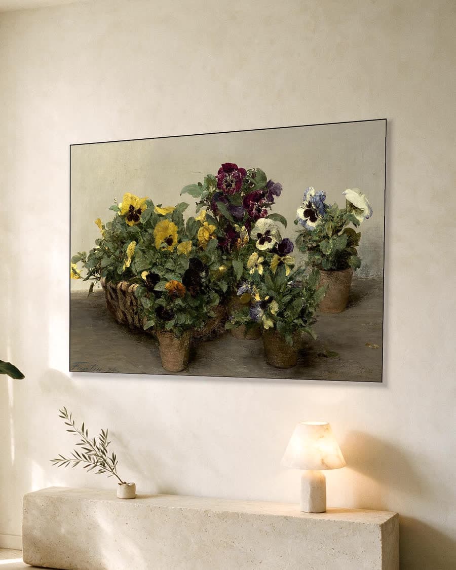 Viooltjes in een aluminium frame aan dezelfde muur
