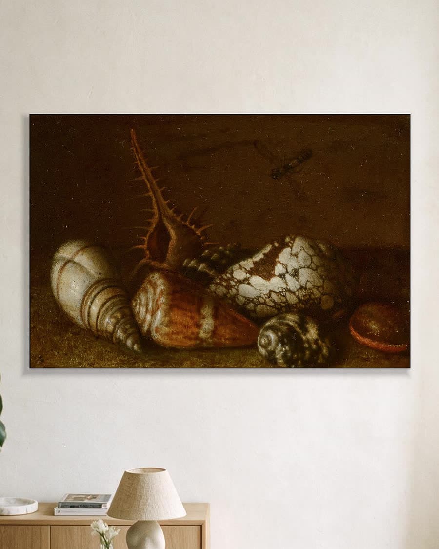 Schelpen op een tafel in een aluminium frame aan dezelfde muur