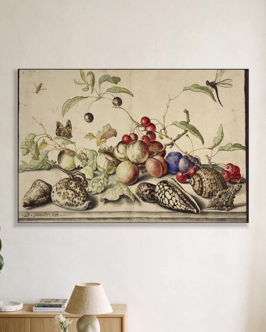 Stilleven met vruchten en schelpen in een aluminium frame aan dezelfde muur