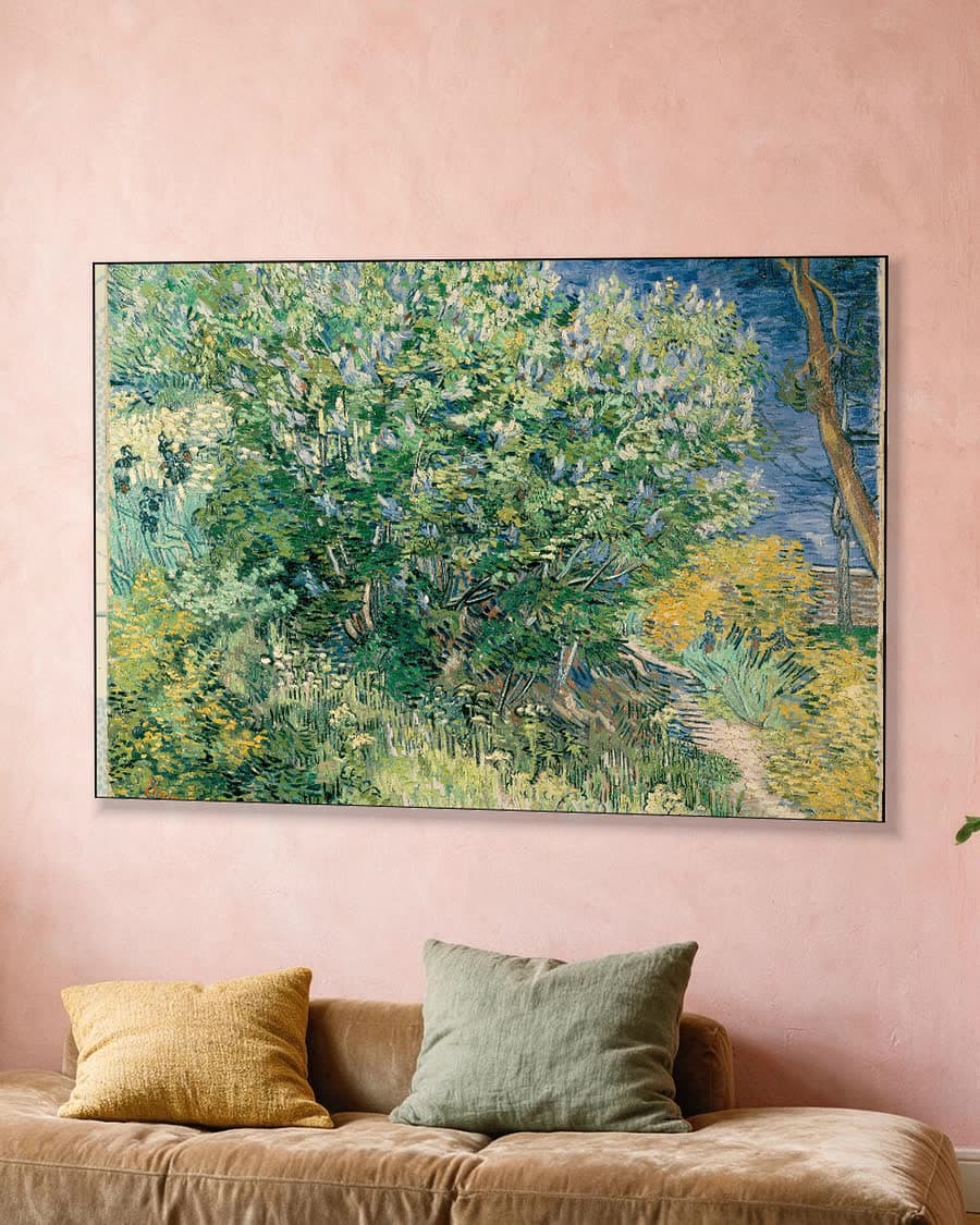 Seringenstruik in een aluminium frame aan dezelfde muur