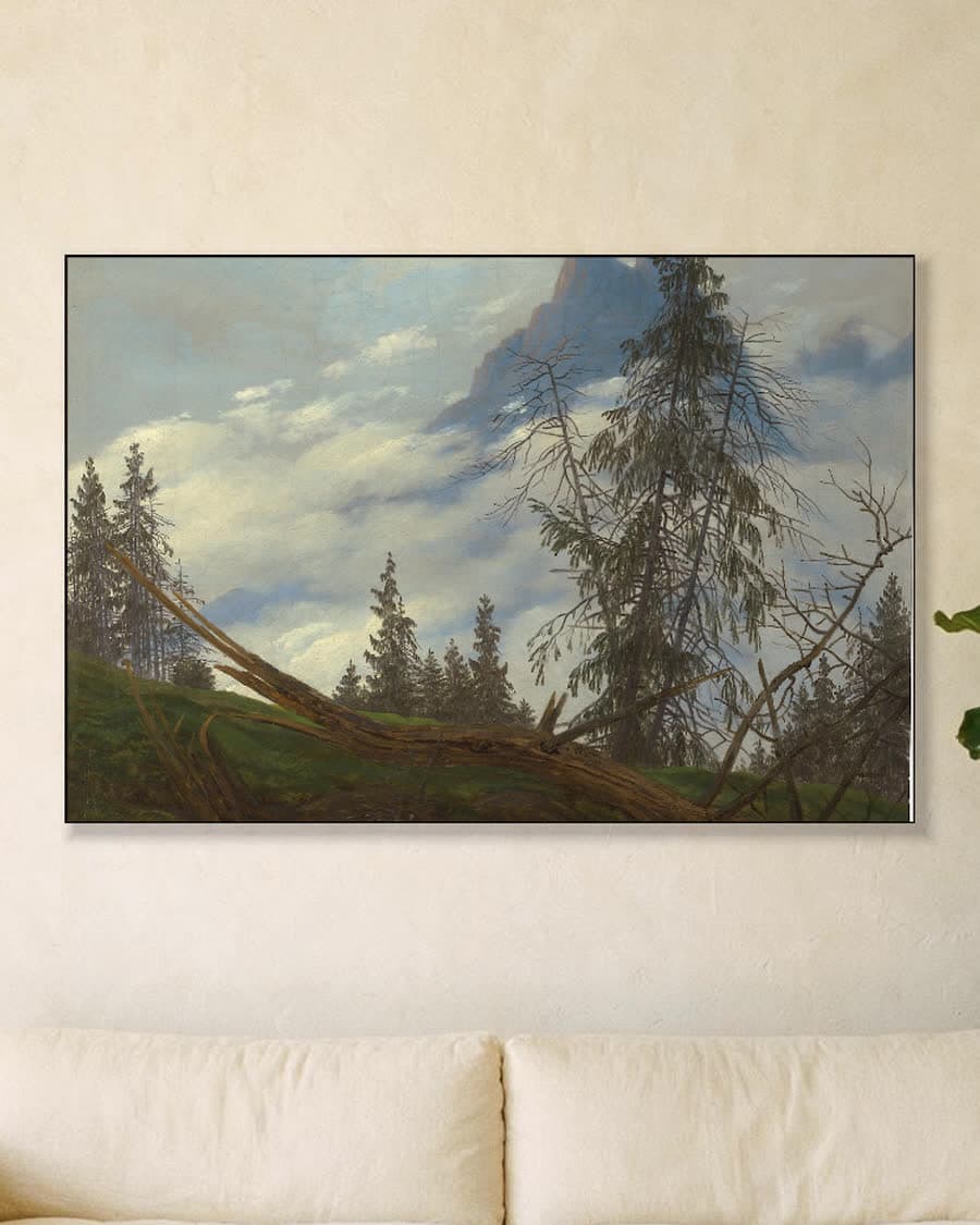 Berglandschap met omgevallen boom in een aluminium frame aan dezelfde muur