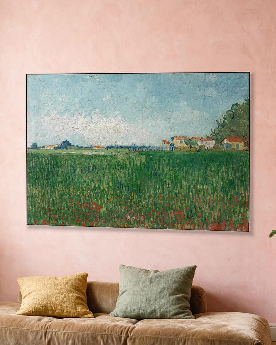 Veld met klaprozen in een aluminium frame aan dezelfde muur