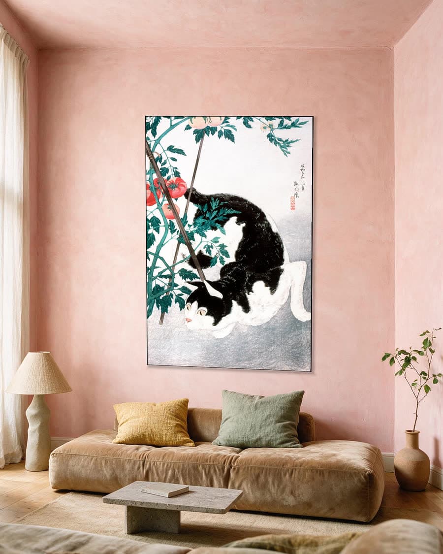 Kat bij de tomatenplant in een aluminium frame aan dezelfde muur