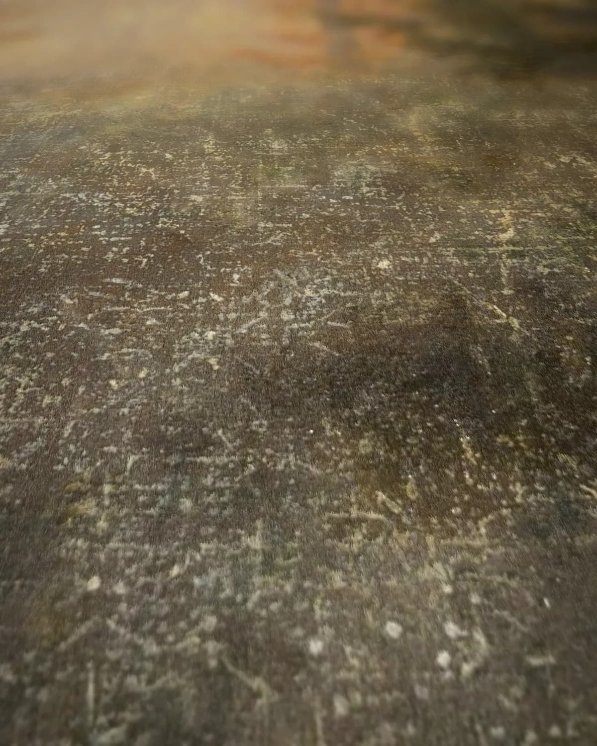 Dauwvochtige gaspeldoorn op geweven fluweel, uitsnede 1 van 3