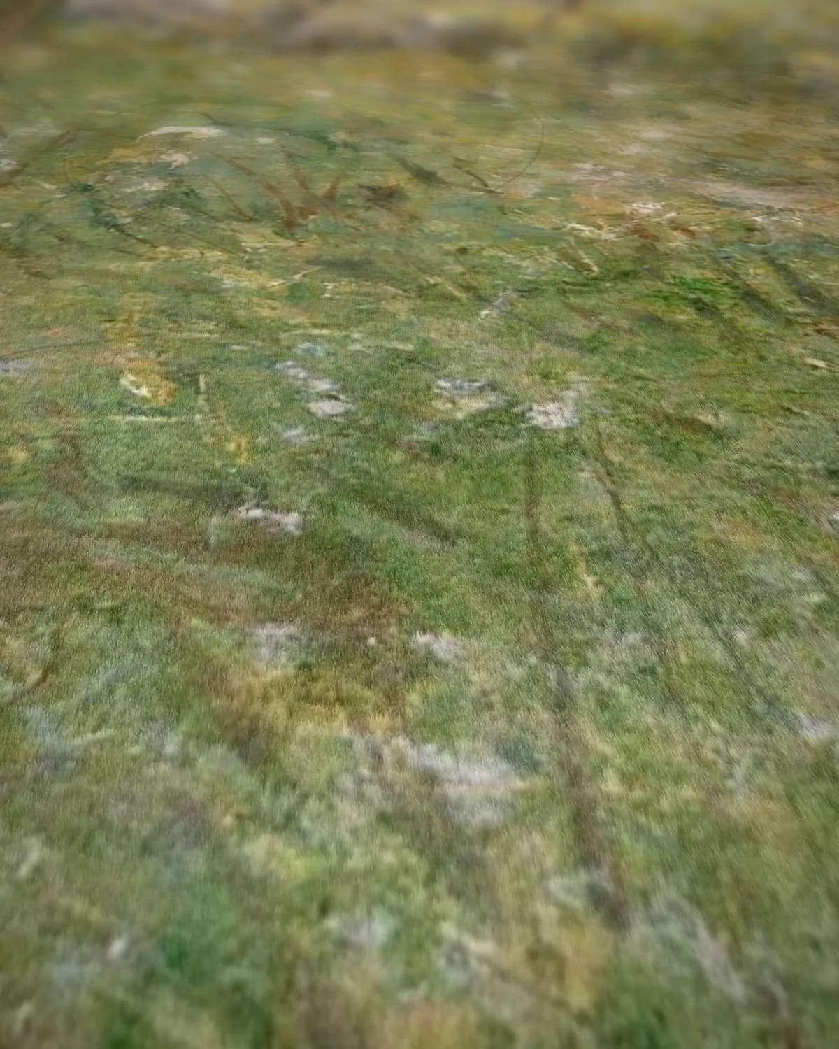 Het visgezelschap op geweven fluweel, uitsnede 1 van 3
