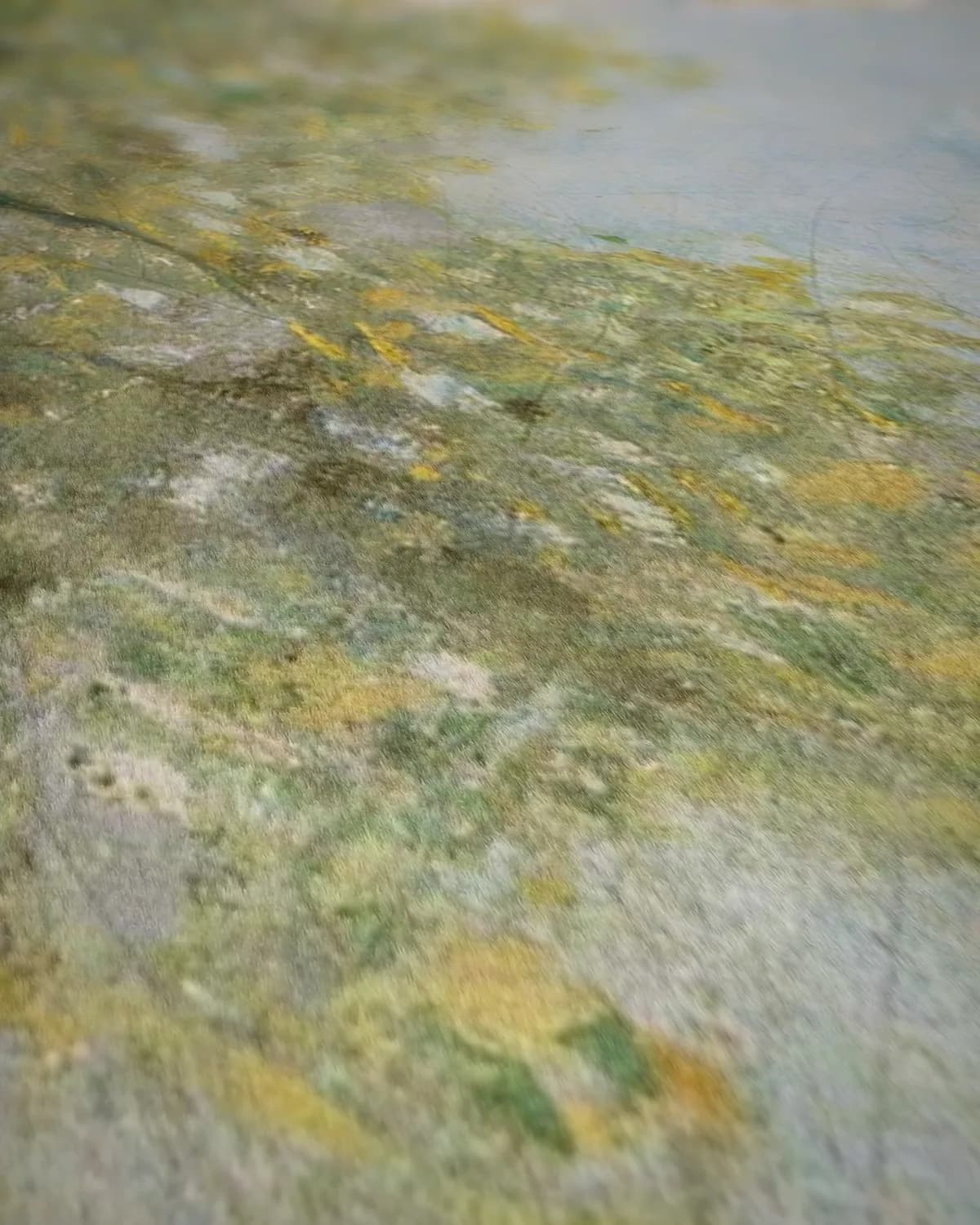 Het visgezelschap op geweven fluweel, uitsnede 2 van 3