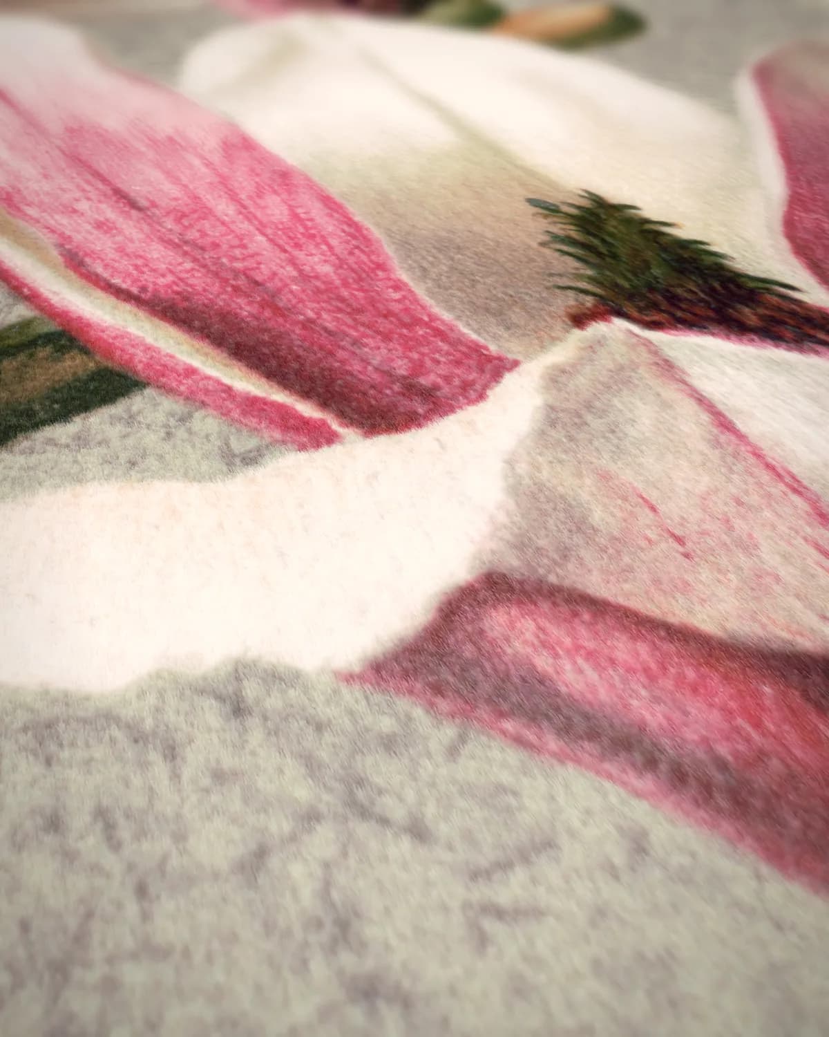 Magnolia op geweven fluweel, uitsnede 2 van 3