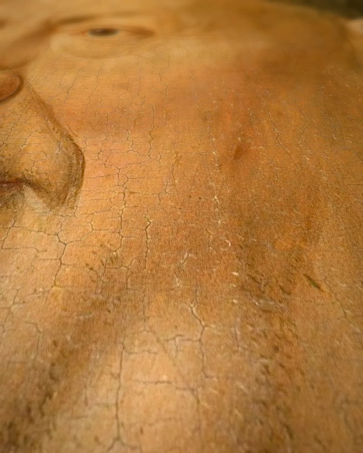 Portret van kardinaal Niccolò Albergati op geweven fluweel, uitsnede 1 van 3
