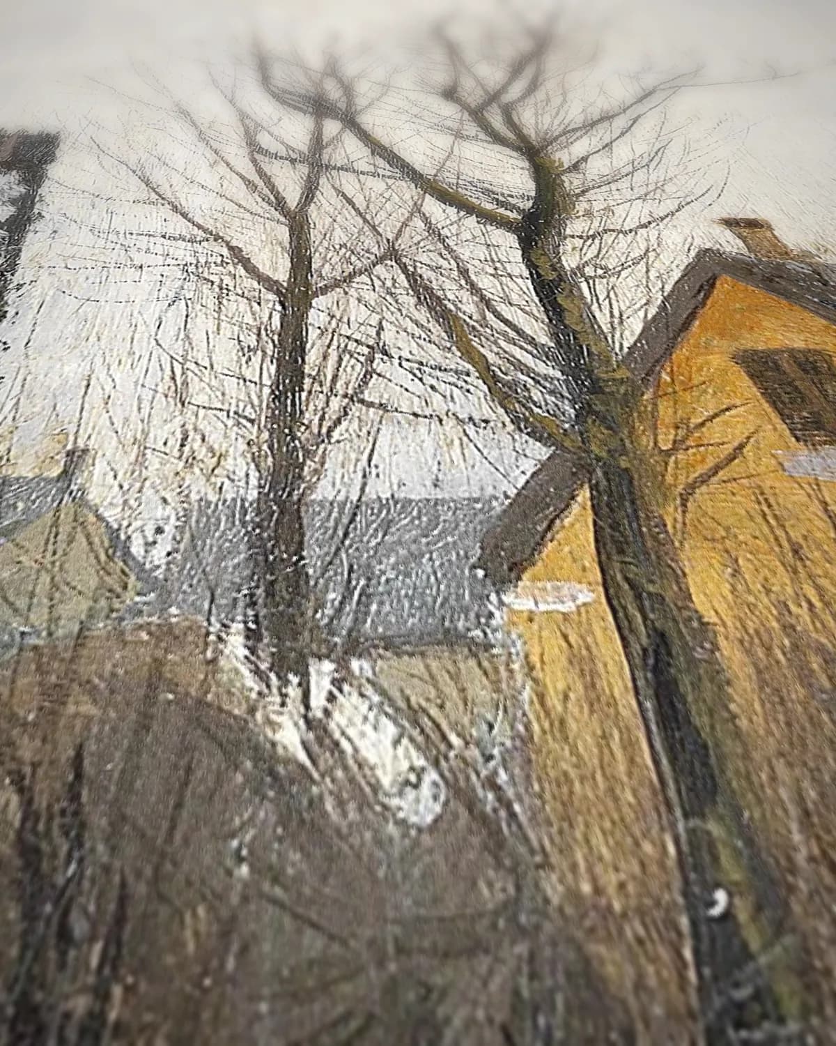 Winterdag bij dooi met spiegelende huizen op geweven fluweel, uitsnede 1 van 3