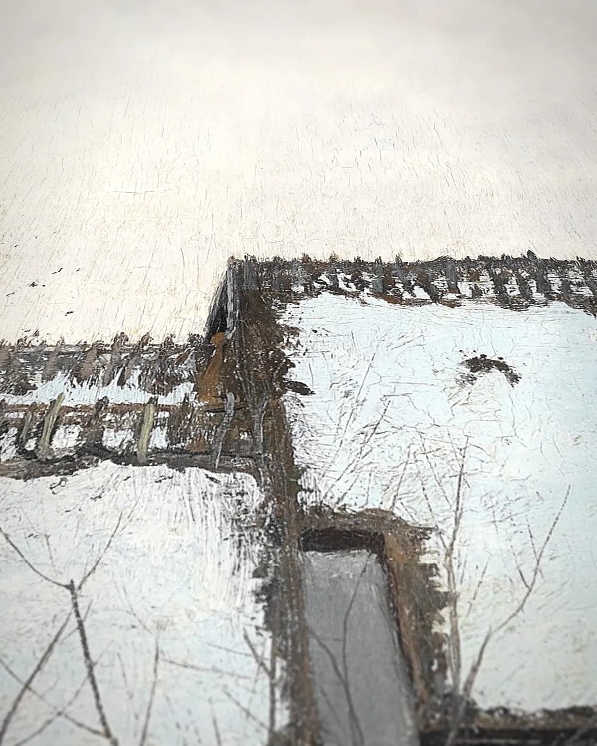 Winterdag bij dooi met spiegelende huizen op geweven fluweel, uitsnede 3 van 3