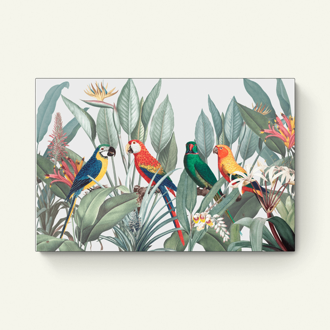 Caribische vogels