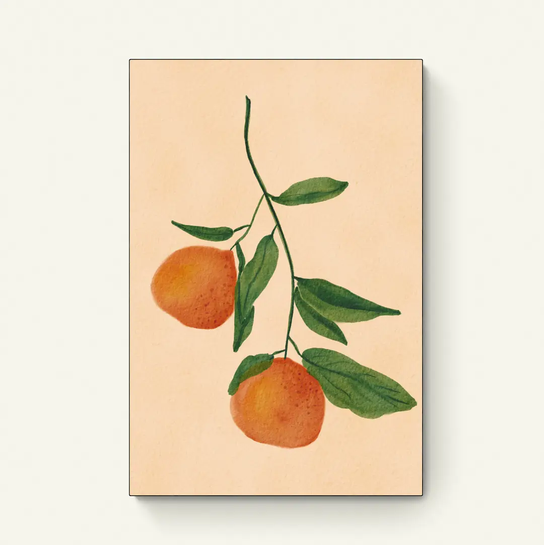 Citrus Vruchtenschoon