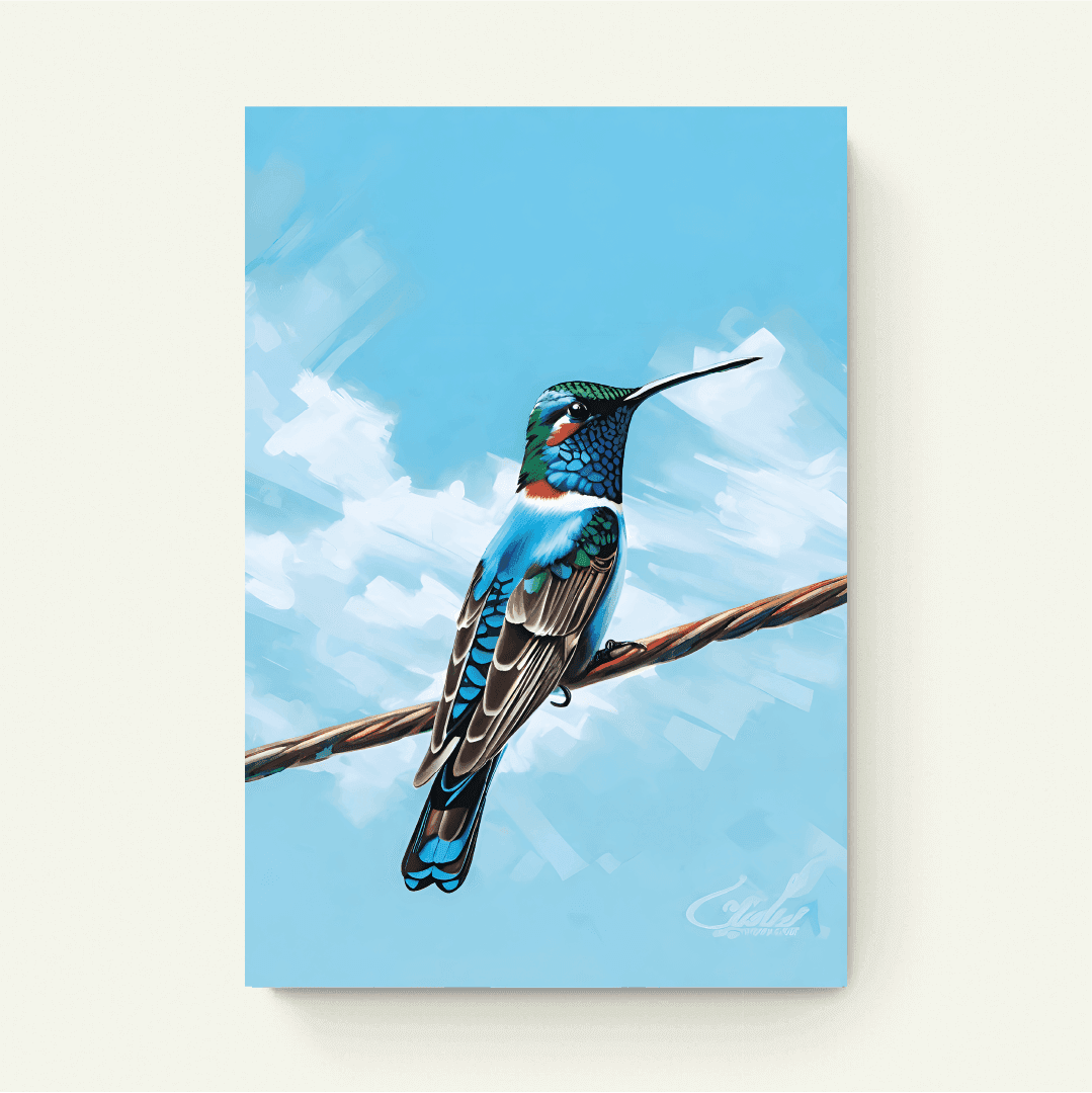 Coliblue