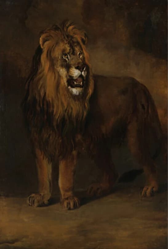 Een leeuw uit de menagerie van koning Lodewijk Napoleon – Pieter Gerardus van Os