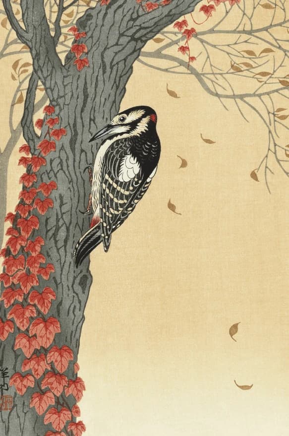 Grote bonte specht in boom met rode klimop – Ohara Koson