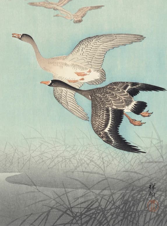 Grote Ganzen in Vlucht – Ohara Koson