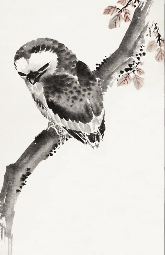 Japanese uil uit Album