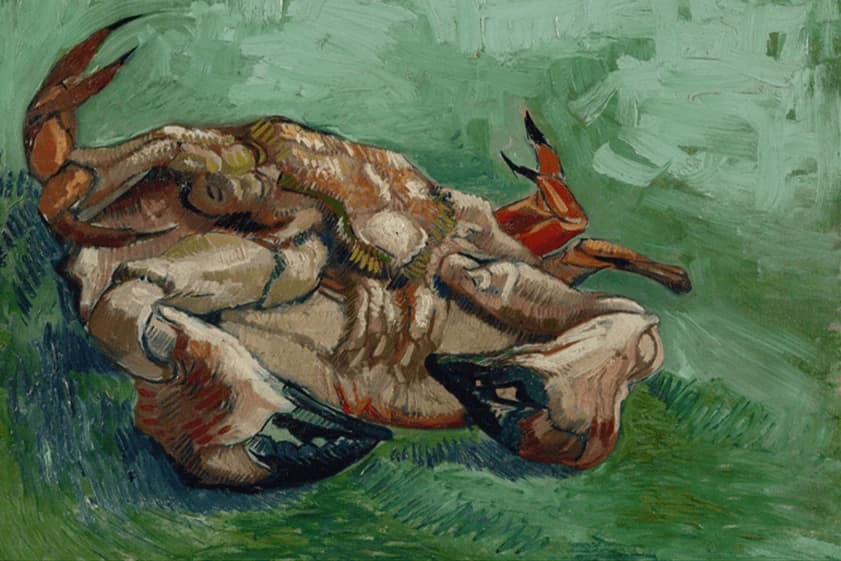 Krab op zijn rug – Vincent van Gogh