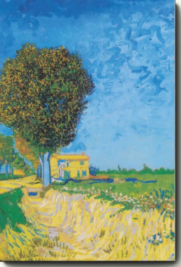 Straat bij Arles – Vincent van Gogh